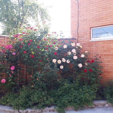 Квартира-Студия В Г. Кропивницком Kirovograd Dış mekan fotoğraf